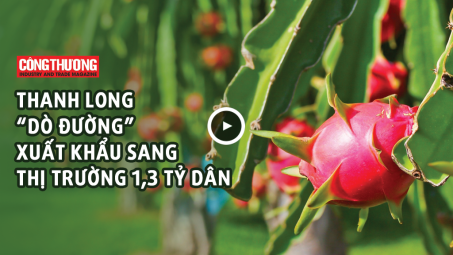 Ngày 3/10/2018 l Bản tin Sự kiện và Con số Công Thương - Thanh long "dò đường" xuất khẩu sang thị trường 1,3 tỷ dân
