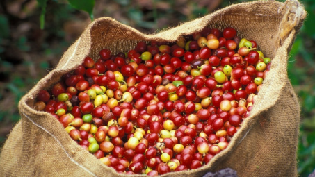 Các mặt hàng nông sản chuyển biến tích cực trong phiên đầu tuần