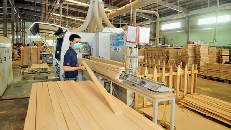Ngành gỗ trước cơ hội vàng tại thị trường Mỹ