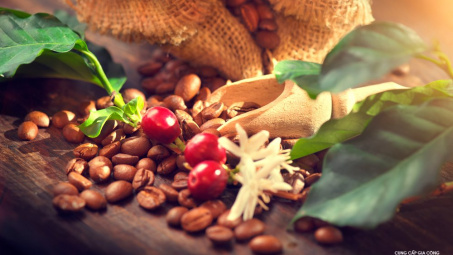 Giá cà phê nhân xô tăng trở lại