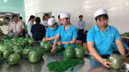 Đại gia bán lẻ Thái Lan mở trạm trung chuyển trái cây ở miền Tây