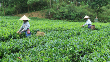 Chính sách giảm nghèo trong đồng bào dân tộc Khmer tỉnh Sóc Trăng và một số giải pháp cơ bản