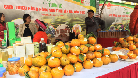 Đưa đặc sản Yên Bái đến với người tiêu dùng Hà Nội