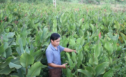 Na Rì - Bắc Kạn: Khai thác triệt để tiềm năng và thế mạnh sẵn có