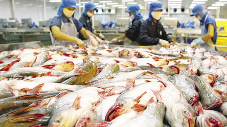 Người Ấn ưa chuộng thủy sản Việt Nam
