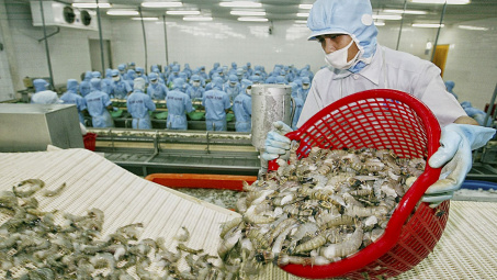 Tôm chân trắng Việt Nam rộng đường sang EU
