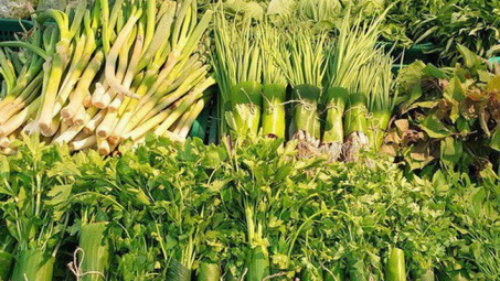 Thủ tướng biểu dương doanh nghiệp dùng lá chuối gói thực phẩm