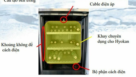 Công nghệ mới tại Việt Nam giữ thực phẩm tươi nhiều tháng