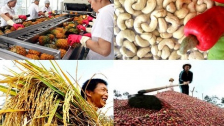 Ngành Nông nghiệp xuất siêu 7,45 tỷ USD trong 11 tháng