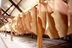 Bangladesh tăng cường xuất khẩu da thuộc, trong khi Colombia giảm gần 30%