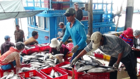 Thuỷ sản Việt Nam hồi hộp chờ phán quyết từ châu Âu