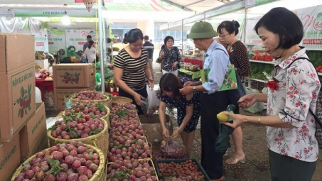 Khai mạc Tuần lễ Mận và nông sản an toàn Sơn La 2019 tại Hà Nội