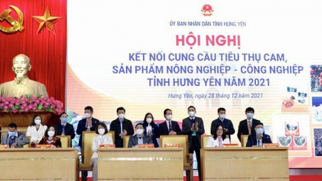 Hưng Yên: Kết nối cung cầu, tiêu thụ cam, sản phẩm nông nghiệp - công nghiệp