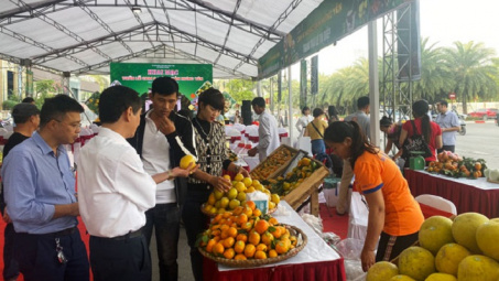 Hưng Yên: Kết nối cung cầu tiêu thụ Cam, sản phẩm nông nghiệp - công nghiệp