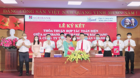 Công ty Nông sản Lê Anh ký kết hợp tác toàn diện trị giá 200 tỷ với Agribank Chi nhánh tỉnh Bắc Giang