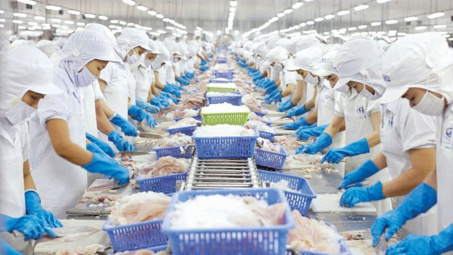 Thẻ vàng IUU tác động giảm đối với xuất khẩu các mặt hàng hải sản sang EU