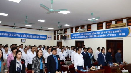 Thép Việt - Sing tổ chức Đại hội đại biểu lần thứ VIII, nhiệm kỳ 2023