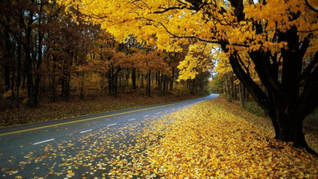 Chuyện chiều thứ 6: Có phải mùa thu giấu ta lâu đến thế…