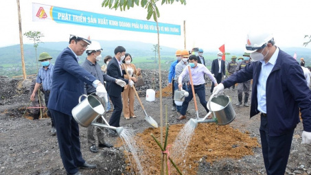 Công ty Cổ phần Gang Thép Thái Nguyên: Góp sức trồng mới 1 tỷ cây xanh