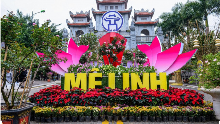 Mê Linh: Sẵn sàng cho Festival hoa