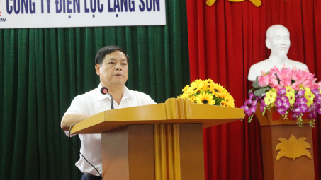 Công ty Điện lực Lạng Sơn: Xuất sắc cán đích năm 2018