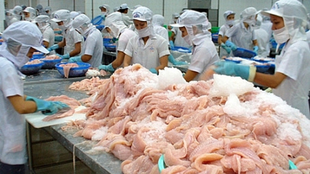 Xuất khẩu cá tra sang thị trường ASEAN tăng mạnh