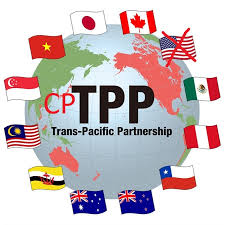Biểu thuế ưu đãi theo CPTPP đã có, nhưng cần điều kiện nào mới được hưởng?