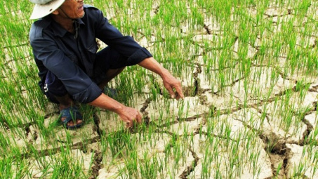 Thủ tướng Nguyễn Xuân Phúc đặt câu hỏi: Có ngành nào từ khi có Nghị quyết chưa tổ chức thực hiện?