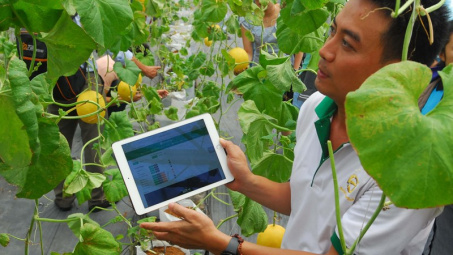 Cứ 5 hộ gia đình có 1 hộ kinh doanh