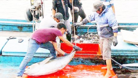 Đã chấm dứt hoàn toàn tình trạng khai thác hải sản trái phép ở vùng biển các nước quốc đảo Thái Bình Dương.
