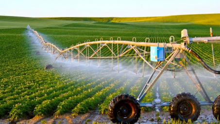 Thực tiễn “nông nghiệp thông minh” ở nước ta