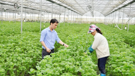 Chỉ có 1% doanh nghiệp đầu tư trực tiếp vào nông nghiệp