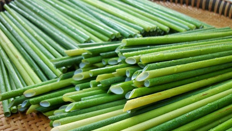 Ống hút “xanh” thân thiện với môi trường