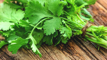 Tác dụng bất ngờ của rau mùi