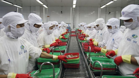 Việt Nam đang chuẩn bị gì cho CPTPP?