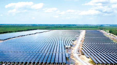 Bamboo Capital dự kiến kết quả kinh doanh Quý II/2022 tăng trưởng tích cực