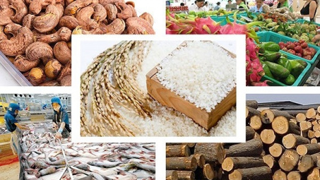 Một số giải pháp phát triển sản xuất nông sản đặc sản ở các huyện miền núi của tỉnh Thanh Hóa trong giai đoạn hiện nay