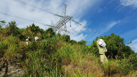 Phòng chống cháy rừng đảm bảo an toàn đường dây Bắc Nam