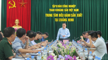 Tiếp tục giữ vững vai trò chủ chốt trong sản xuất, kinh doanh than