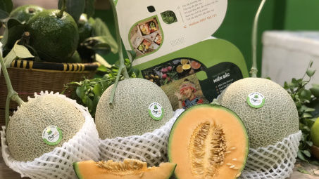 Mô hình trải nghiệm trái cây đặc Sản  tự nhiên