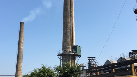 VADFCO: Xây dựng thương hiệu từ nỗ lực bảo vệ môi trường