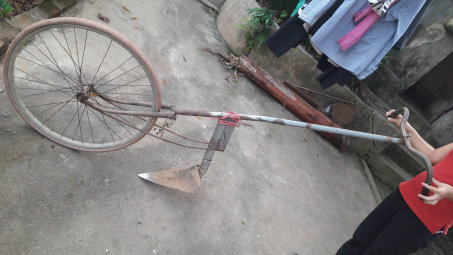 Phân bón Văn Điển: Lựa chọn của người trồng chè Phú thọ