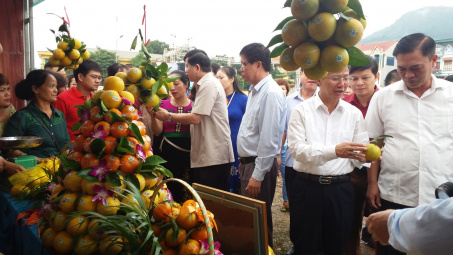 Tưng bừng Ngày hội cam huyện Phù Yên, tỉnh Sơn La 2018