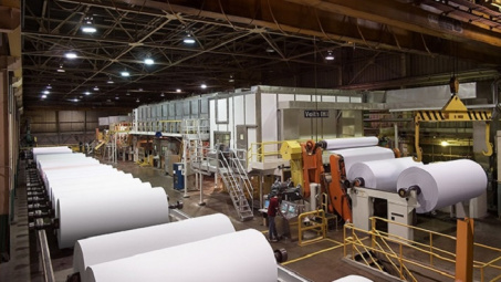 Kinh tế tuần hoàn trong ngành Giấy (Kỳ 1)