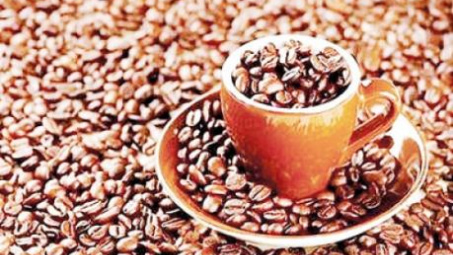 Nhà máy TATA Coffee Việt Nam chính thức đi vào hoạt động