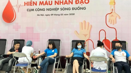 Công đoàn Tổng Công ty Giấy Việt Nam: Những giọt máu hồng lan tỏa yêu thương