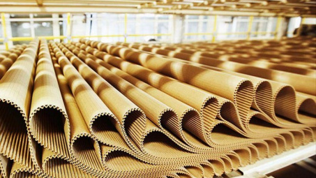 Covid -19: Cần quan tâm đến nguồn nguyên liệu giấy thu hồi trong nước