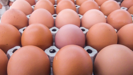 Công bố hạn ngạch thuế quan nhập khẩu muối, trứng gia cầm năm 2019