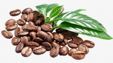 Giá cà phê hôm nay 16/11: Lên mức 36.000 đồng/kg