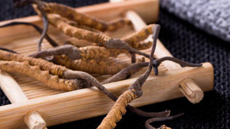 Nghiên cứu quy trình ly trích và xác định hàm lượng Adenosine trong cao ethanol của đông trùng hạ thảo (Cordyceps Militaris) bằng HPLC-PDA